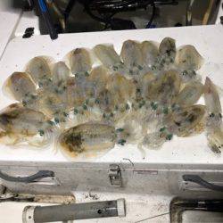 Monster Rush! 釣果