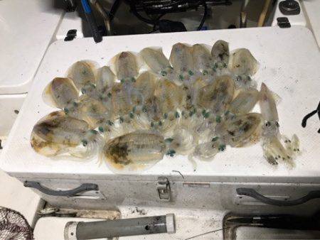 Monster Rush! 釣果