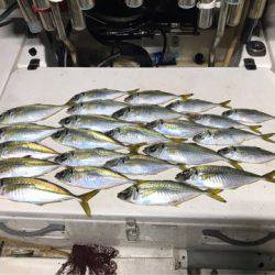 Monster Rush! 釣果