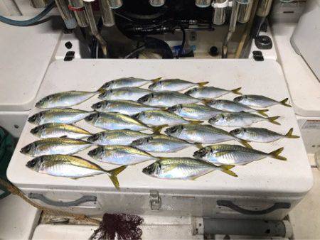 Monster Rush! 釣果