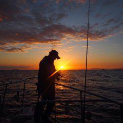まるいち丸 ZERO-1 釣果