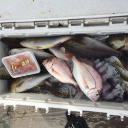丸万釣船 釣果