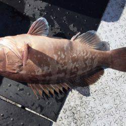 第二龍勢丸 釣果