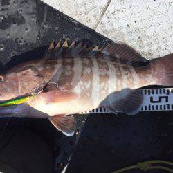 第二龍勢丸 釣果