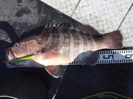 第二龍勢丸 釣果