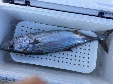 第二龍勢丸 釣果