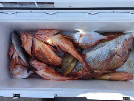 第二龍勢丸 釣果