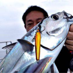 渡船屋たにぐち 釣果