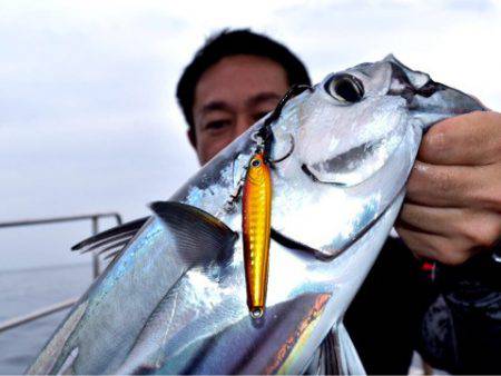渡船屋たにぐち 釣果