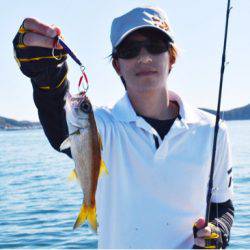 渡船屋たにぐち 釣果