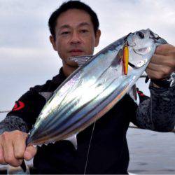 渡船屋たにぐち 釣果