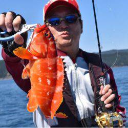 渡船屋たにぐち 釣果