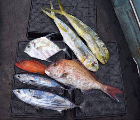 渡船屋たにぐち 釣果