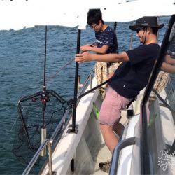 遊漁船メテオ 釣果