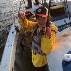 エヌスタイル 釣果