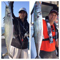 ビッグファイター 釣果