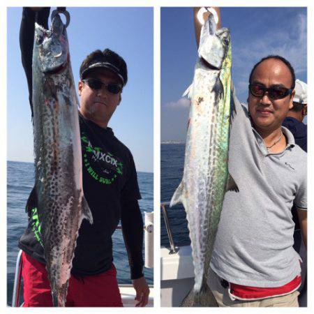 ビッグファイター 釣果