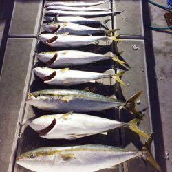 SeaRide(シーライド) 釣果