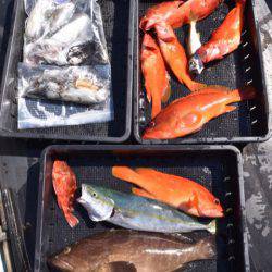 渡船屋たにぐち 釣果