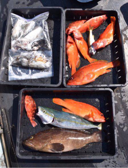 渡船屋たにぐち 釣果