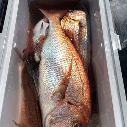 第二八坂丸 釣果