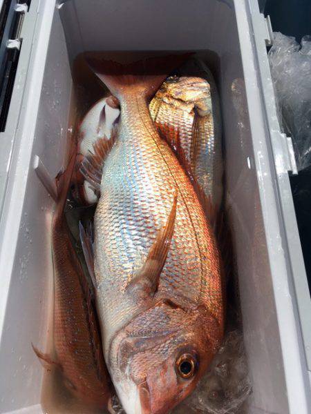 第二八坂丸 釣果