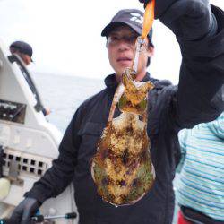 まるいち丸 ZERO-1 釣果