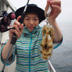 まるいち丸 ZERO-1 釣果