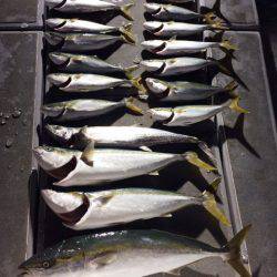 SeaRide(シーライド) 釣果