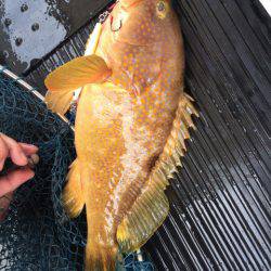 第二龍勢丸 釣果