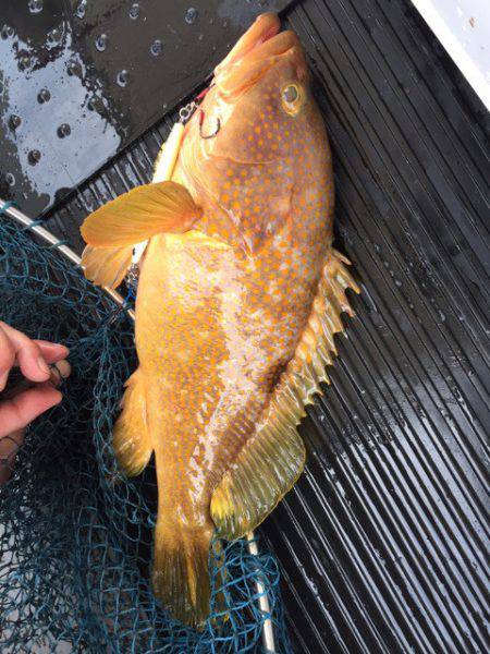 第二龍勢丸 釣果