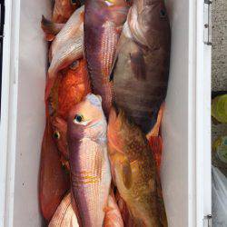 第二龍勢丸 釣果