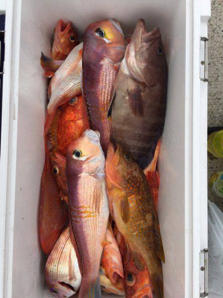 第二龍勢丸 釣果