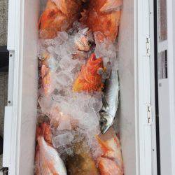 第二龍勢丸 釣果