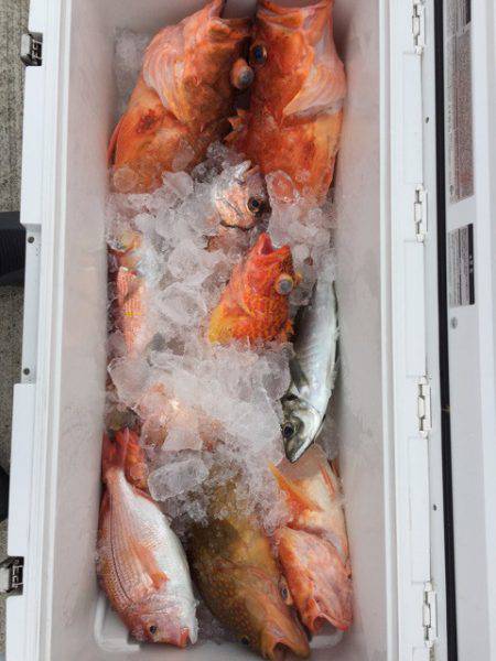 第二龍勢丸 釣果