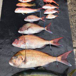 まるいち丸 ZERO-1 釣果