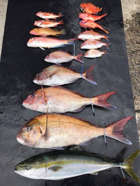 まるいち丸 ZERO-1 釣果