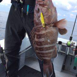 第二龍勢丸 釣果