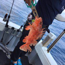 第二龍勢丸 釣果