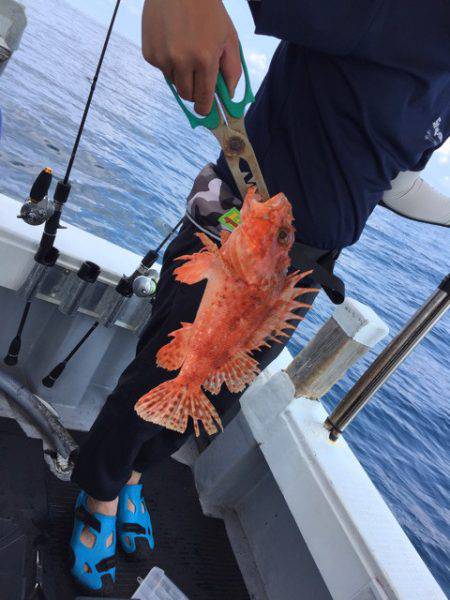 第二龍勢丸 釣果