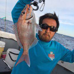 エヌスタイル 釣果