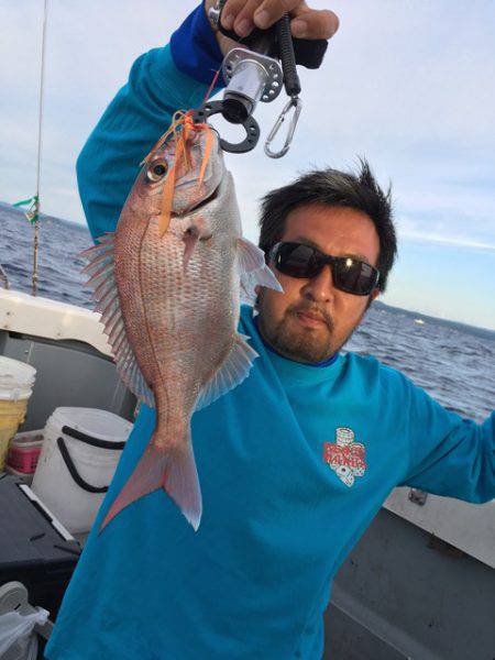 エヌスタイル 釣果