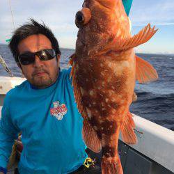 エヌスタイル 釣果