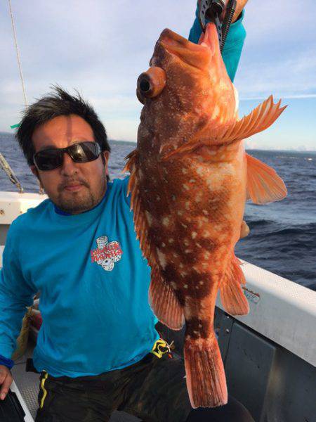 エヌスタイル 釣果