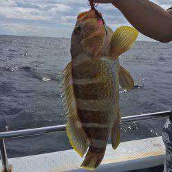 ＴＡＲＯＭＡＲＵ 釣果