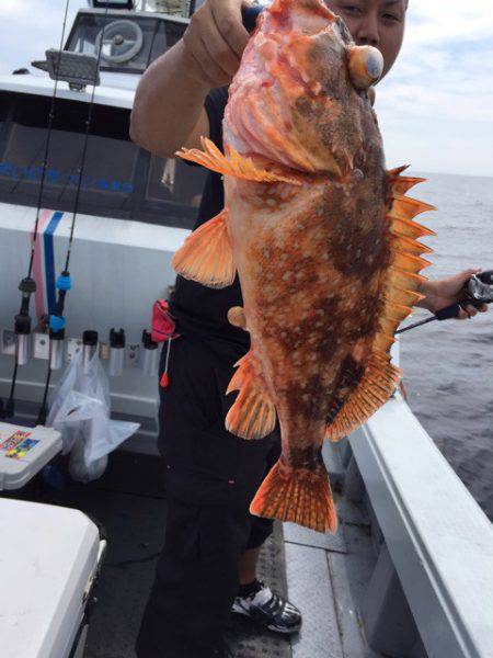 第二龍勢丸 釣果