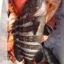 第二龍勢丸 釣果