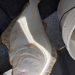 第二龍勢丸 釣果