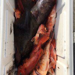 第二龍勢丸 釣果