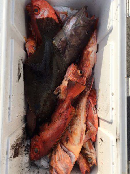 第二龍勢丸 釣果